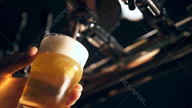 the bartender pours beer into a glass. Close-up view of barman's hand pouring light beer into glass from a pub tap