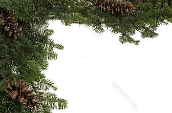 Christmas border of live greens and pine cones