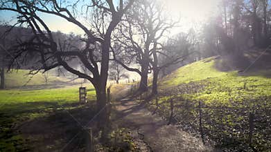 Idyllic rural path with meadows and bare trees