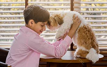 Teenage warm boy wearing casual shirt, smiling with happiness, showing expression, hugging with little dog or pet with relaxation