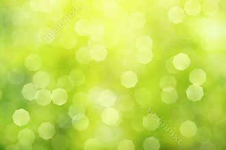 Defocused green abstract background