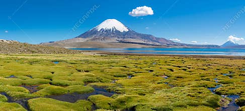 Parinacota volcano ladscape in Chile altiplano