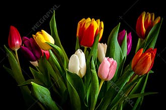 Bunch of colorful flowers on black background
