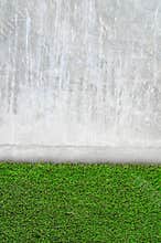 Artificial grass on a cement wall