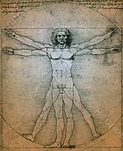 Vitruvian Man - Leonardo da Vinci