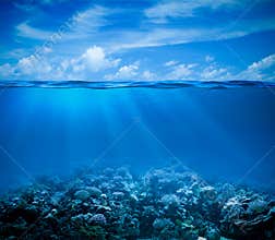 Underwater with horizon and water surface