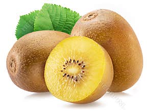 Golden kiwi fruit, cross cut of kiwi, green leaves isolated on white background