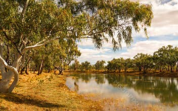 A creek passing through typical Australian gum tree scenery