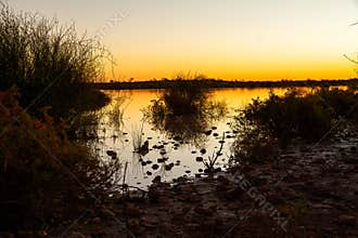 Sunset over a golden colored lake with rocky foreshore, reflections and silhouettes.