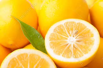 Meyer Lemon Closeup Horizontal