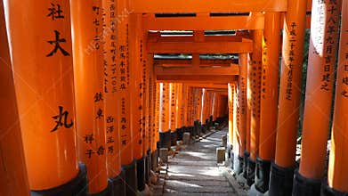 Man walking under torii gates at the Fushimi Inari Shrine. Kyoto Japan.