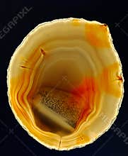 Slice of Polished Gold Agate