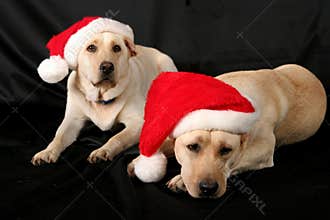 Santa's helpers
