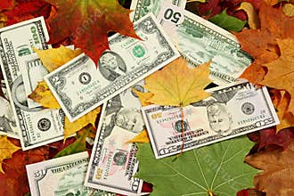 Price fall