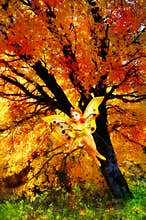 Fairy in autumn magic forest