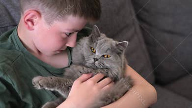 Close-up of a cat or cat lying with a child on a soft sofa in a cozy living room.