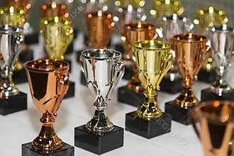 Bronze, silver and gold mini cup awards 
