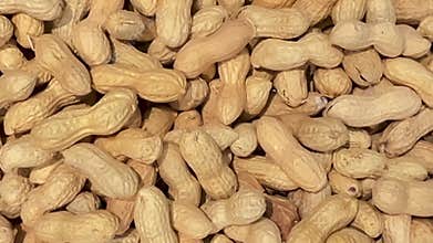 Peanuts in their shells arranged as a background