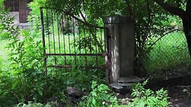 a broken gate to a abandoned bungalow in india. copy space. nature taking over