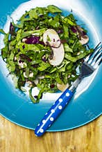 Vegetarian salad