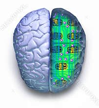 Computer Brain Circuit Technology