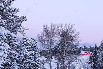 Winter scene after a snowstorm