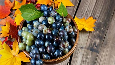 Dark grapes and autumn leaves, fall harvest and seasonal food stock footage Generative AI