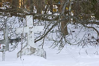 Vintage White Cross In Snowy Graveyard