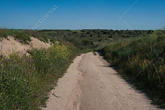 Quiet dirt road winding through lush countryside under a clear blue sky in early spring