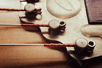 Strings and tailpiece on a Gypsy acoustic guitar