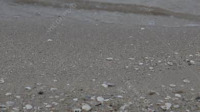Sea water wave come to white sand natural beach with water splash and shells on sand.