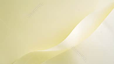 Abstract Gold Paper Swirl on White, Macro Studio Shot