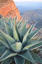 Big Bend National Park, Texas, United States