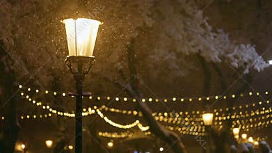 Bright street lamp illuminates festive atmosphere on snowy night. Snow falls in the night city in winter in the light of
