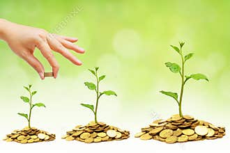 Building ethical business