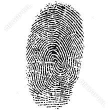 fingerprint (vector)