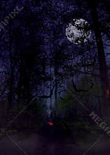 Dark scary forest
