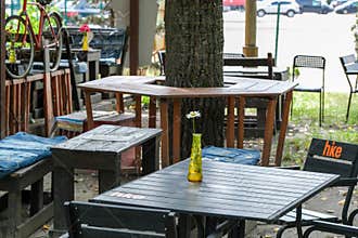 Outdoor Cafe Tables Beneath Large Tree In Summer
