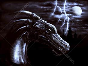 Night dragon