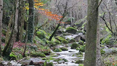Winding Creek Cascades Under the Rain in Fall