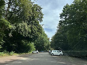 Parking Lot with Cars Surrounded by Trees and Woodland in Amsterdam Forest