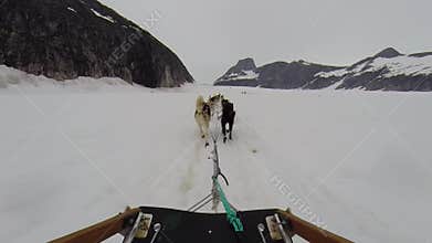 Dog sled ride on toboggan at Alaska glacier