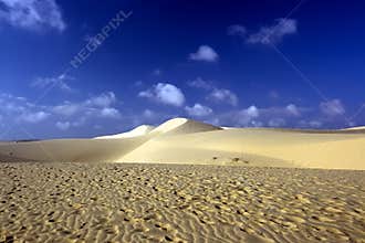 Sandy desert