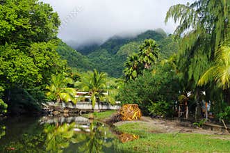 Grande Anse d`Arlet - Martinique