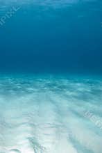 Tiger Beach Portrait Seascape