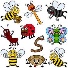 Cartoon Insects Collection