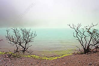 KAWAH PUTIH - BANDUNG, JAVA IN INDONESIA
