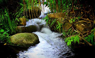 Waterfalls in a tropical forest