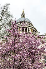 St Pauls Cathedral Anglican Cathedral in London