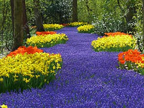 Keukenhof, Holland